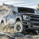 This is the one you want. (Image via Ford)